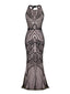Robe Charleston Longue Vintage Année 20 Paillettes Dos Rose Soirée Cocktail